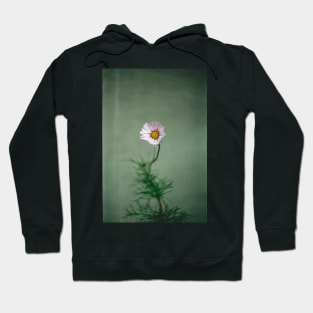 Cosmos Hoodie